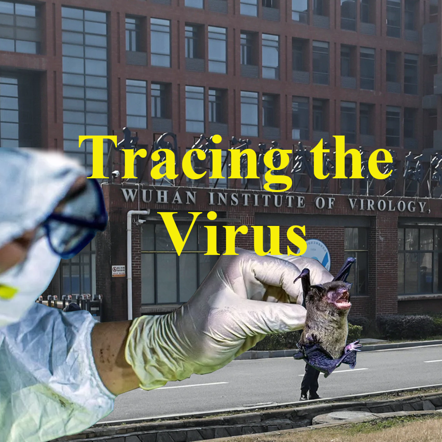 The Intercept-com, Investigating media