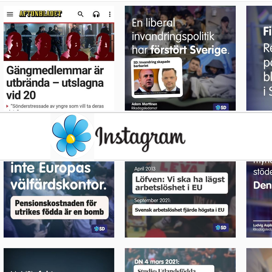 Sverigedemokraternas instagramsida